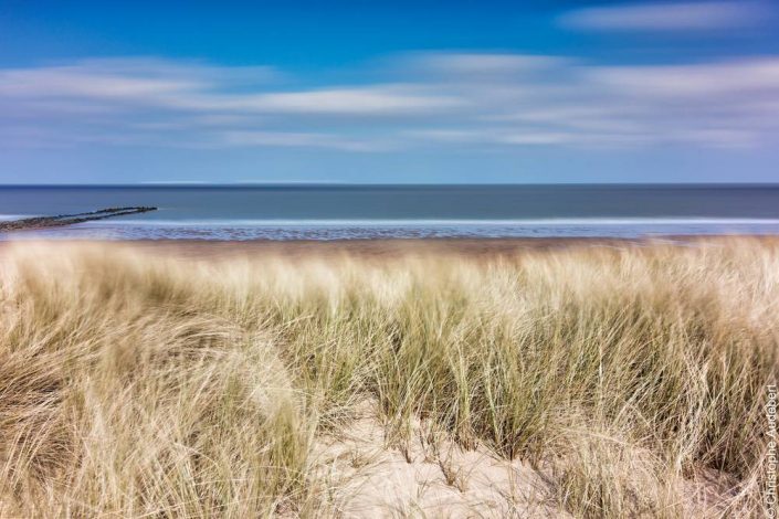 Dunes sur la plage de Knokke le Zoute